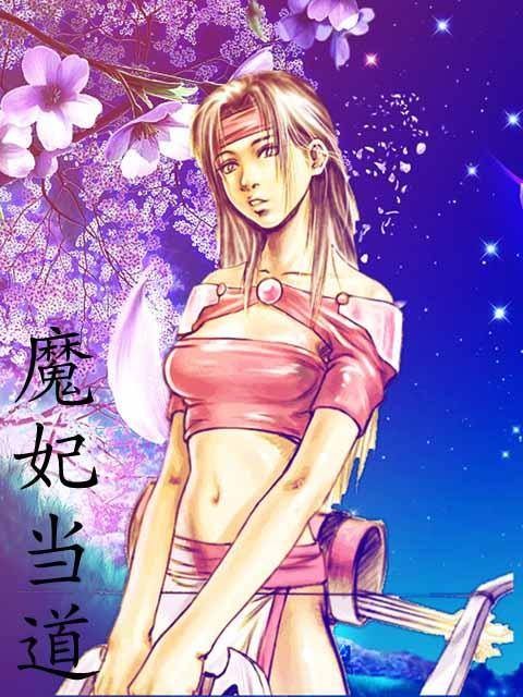魔妃当道（元婧创作的网络小说作品）