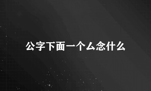公字下面一个厶念什么