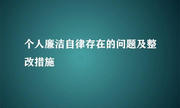 个人廉洁自律存在的问题及整改措施