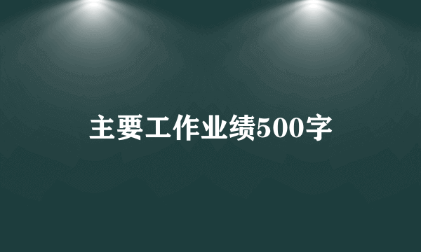主要工作业绩500字
