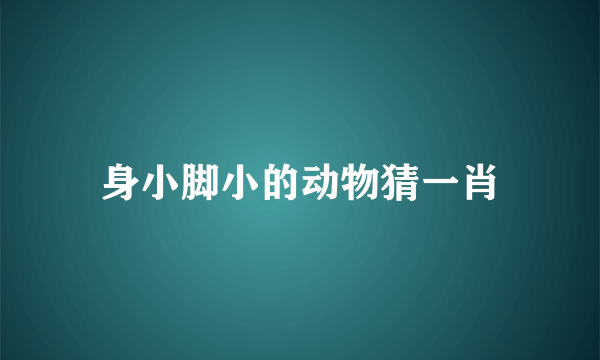 身小脚小的动物猜一肖