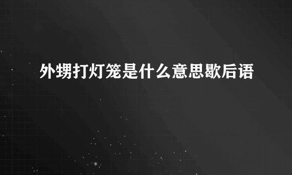 外甥打灯笼是什么意思歇后语