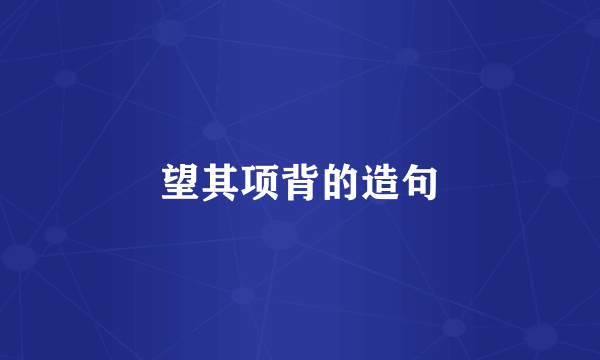 望其项背的造句