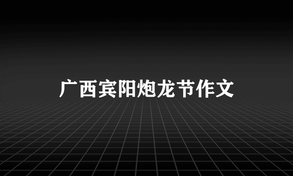 广西宾阳炮龙节作文