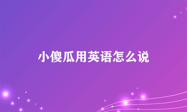 小傻瓜用英语怎么说