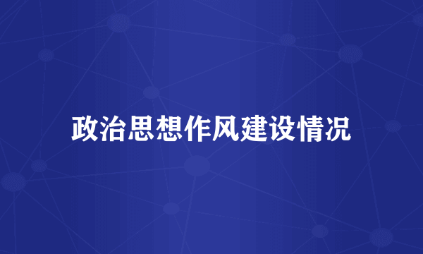 政治思想作风建设情况