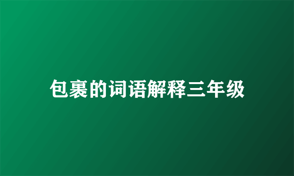 包裹的词语解释三年级