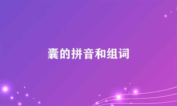 囊的拼音和组词