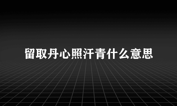 留取丹心照汗青什么意思