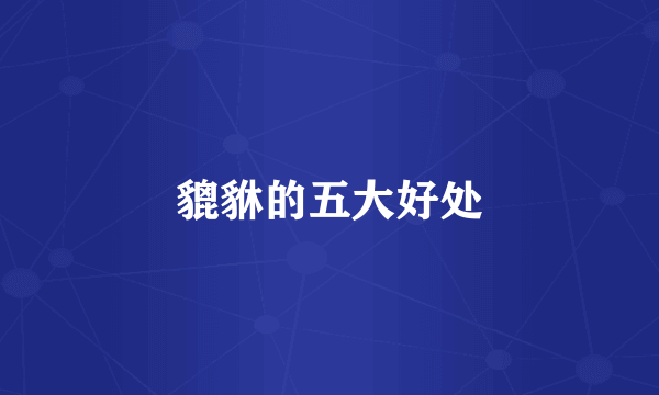 貔貅的五大好处