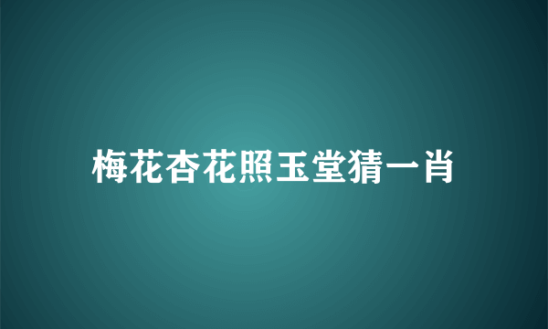 梅花杏花照玉堂猜一肖