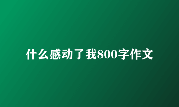 什么感动了我800字作文