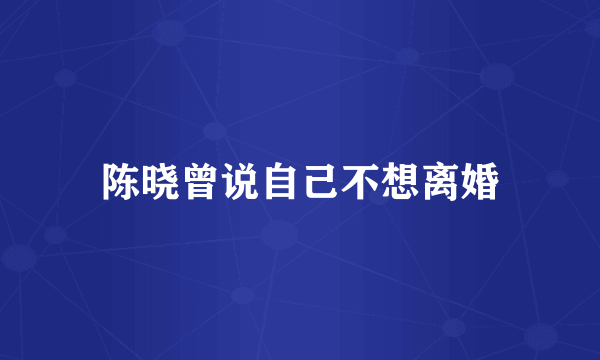 陈晓曾说自己不想离婚