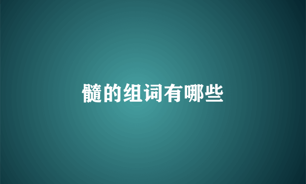 髓的组词有哪些