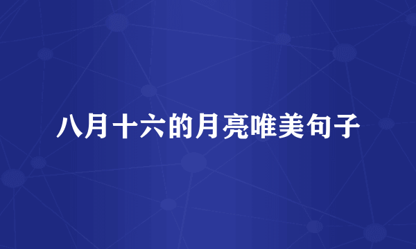 八月十六的月亮唯美句子