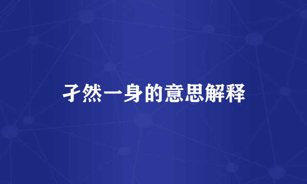 孑然一身的意思解释