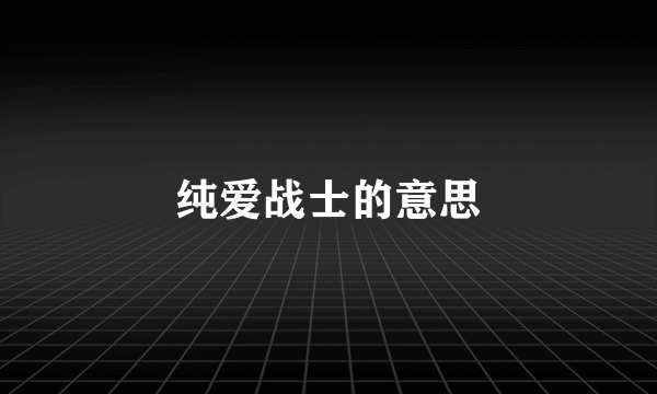纯爱战士的意思