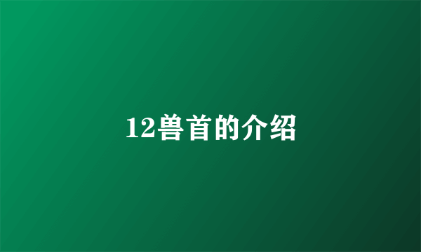12兽首的介绍