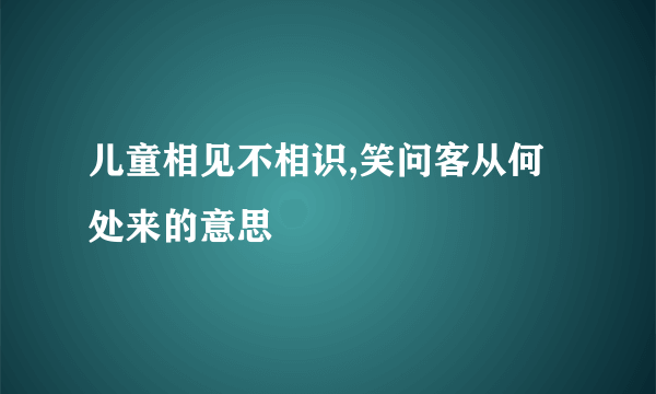 儿童相见不相识,笑问客从何处来的意思