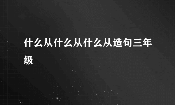 什么从什么从什么从造句三年级