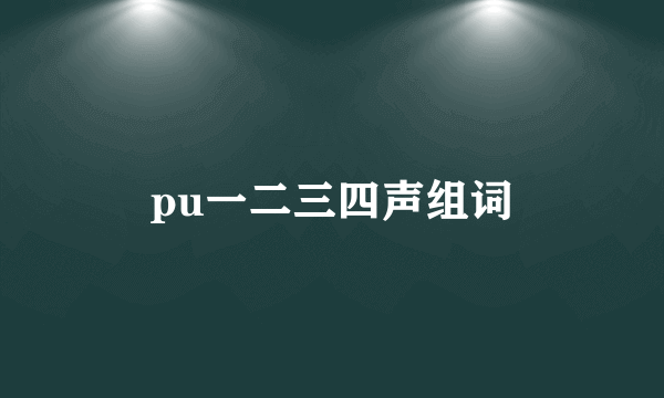 pu一二三四声组词