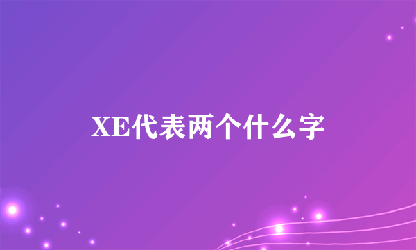 XE代表两个什么字