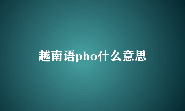 越南语pho什么意思
