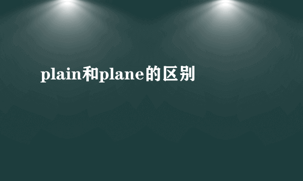 plain和plane的区别