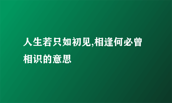 人生若只如初见,相逢何必曾相识的意思