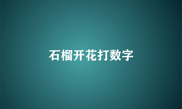 石榴开花打数字