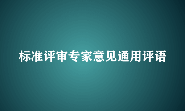 标准评审专家意见通用评语