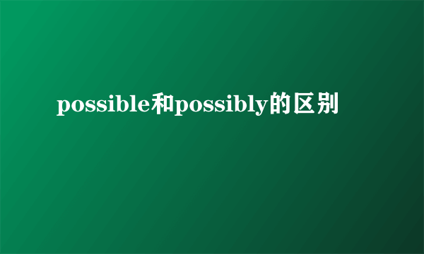 possible和possibly的区别