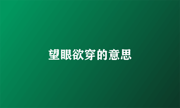 望眼欲穿的意思