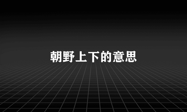 朝野上下的意思