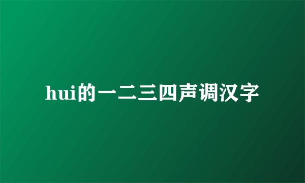 hui的一二三四声调汉字