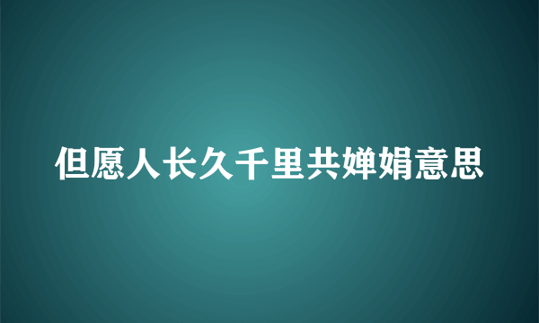 但愿人长久千里共婵娟意思