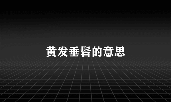 黄发垂髫的意思