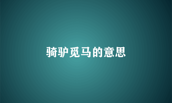 骑驴觅马的意思