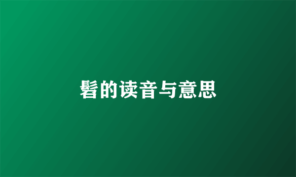 髫的读音与意思