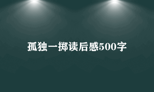 孤独一掷读后感500字