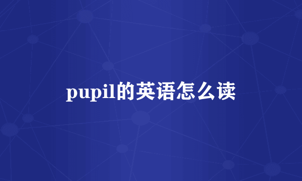 pupil的英语怎么读