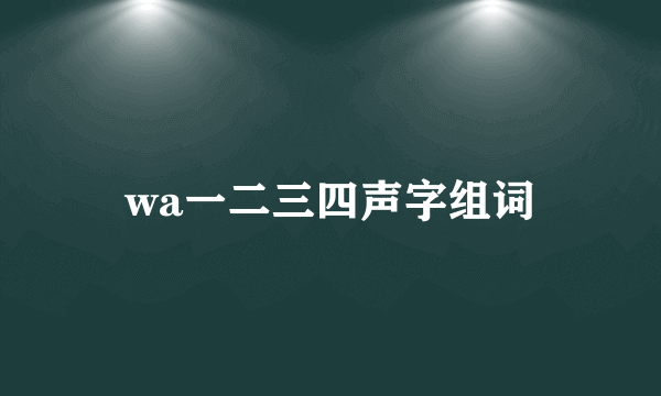 wa一二三四声字组词