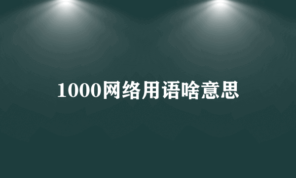 1000网络用语啥意思