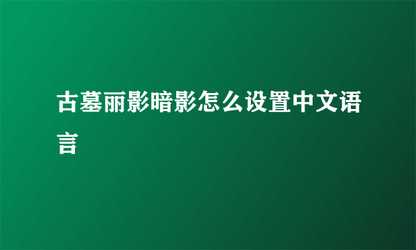 古墓丽影暗影怎么设置中文语言