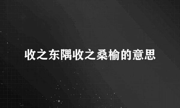 收之东隅收之桑榆的意思