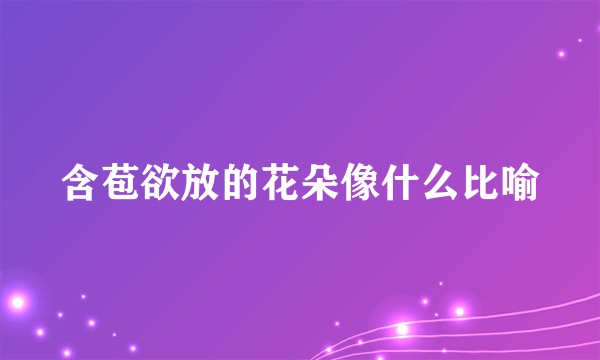 含苞欲放的花朵像什么比喻