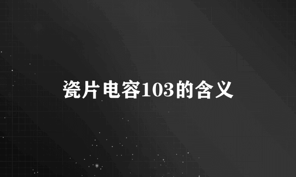 瓷片电容103的含义