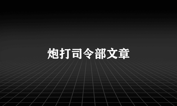 炮打司令部文章