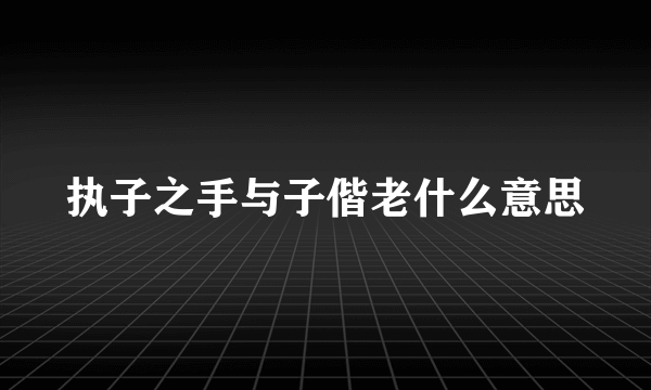 执子之手与子偕老什么意思