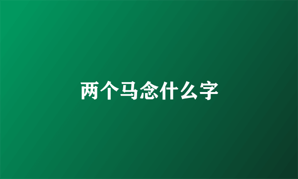 两个马念什么字